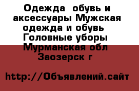 Одежда, обувь и аксессуары Мужская одежда и обувь - Головные уборы. Мурманская обл.,Заозерск г.